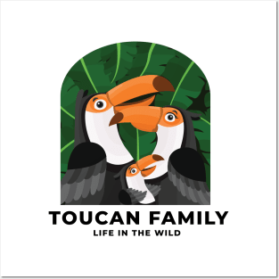 Toucan Family Posters and Art